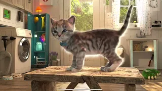 ADVENTURE OF A LITTLE KITTEN cartoon about kittens cartoon for kids and toddlers cartoons on #330