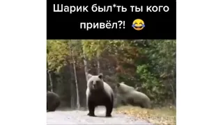 Шарик кого ты блин привёл?))#мемы