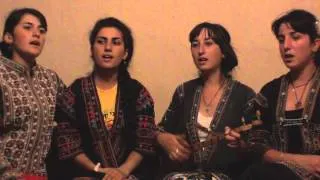 დები გოგოჭურები_the Sisters Gogochuri - სთენდები