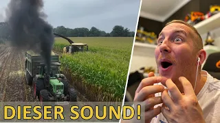 Extremer Traktor Sound: Case 1255XL in der Maisernte 2023 M4cM4nus Reaktion auf JP Agrar