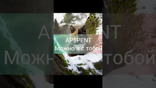 Apsent-можно я с тобой