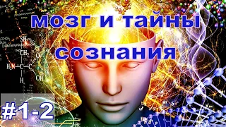 Татьяна Черниговская - Мозг и тайны сознания./Документальный фильм/Покажем зеркало природе 1-2 часть