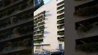 When Trees Meet Buildings|  beautiful trees on building| plants on building| jeddah Saudi Arabia