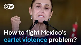 The biggest problems Mexico's first female president Claudia Sheinbaum is facing | DW News
