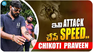 Chikoti Praveen About His Pet Spider  | Chikoti Praveen Interview | iDream Media