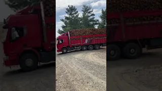 Efsane Kırkayaklardan Full Havalı Renault Kırkayak Kamyon 🔥🔥🔥 / Renault Trucks