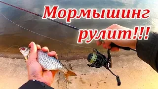 Ловля окуня на мормышку, плотва в прилове. Стритфишинг 2019 - сезон открыт!!!