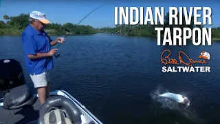 Indian River Tarpon | Bill Dance Saltwater