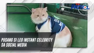 Pusang si Leo instant celebrity sa social media | TV Patrol