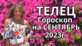 ТЕЛЕЦ - гороскоп на  СЕНТЯБРЬ 2023г.!