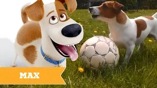 The Secret Life Of Pets REAL LIFE All Characters