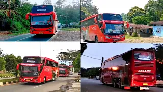 BUS JRG Mendunia , Semakin Di Kenal Di Lintas Kb Tapanuli , Dari Sumatra Sampai Jakarta