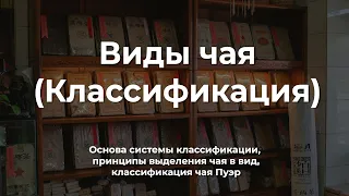 Виды чая. Система классификации готового чая. Пуэр — отдельный вид чая?