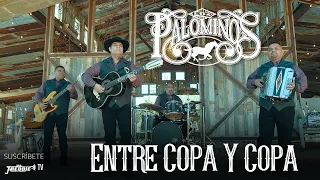 Los Palominos - Entre Copa Y Copa (Video Oficial)