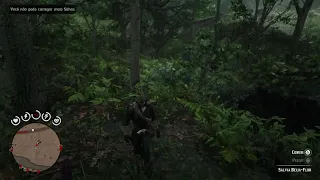 what the hell just happened to my horse in Red Dead Redemption 2?