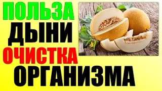 Что будет если есть дыню КАЖДЫЙ ДЕНЬ. Чем полезна дыня