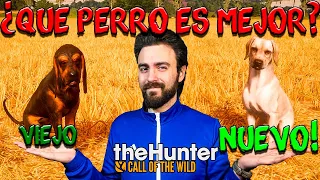 ESTE NUEVO PERRO NOS CAMBIARÁ LA VIDA😱 | The Hunter Call of the Wild🌿