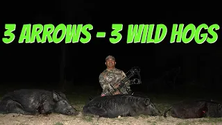 3 Arrows - 3 Wild Hogs in 3 Minutes