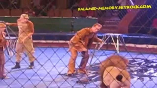 Attaque de Lion dans un cirque