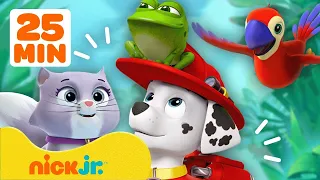 Щенячий патруль | Спасательные операции Маршалла! | Nick Jr. Cyrillic