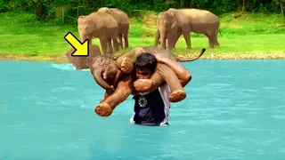 Man Saves Drowning Baby Elephant.. Just Watch What The Herd Did To Him!