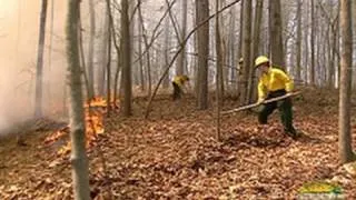 Using Hand Tools to Suppress TN Forest Fires