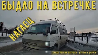 Быдло на встречке #151! Подборка на видеорегистратор!