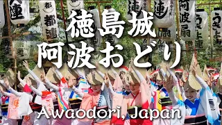 【これが春の祭典、徳島城阿波おどり！！】4K FHD60 #japan #阿波踊り#dance #festival #ダンス