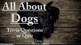 All About Dogs – Trivia & Quiz – #1