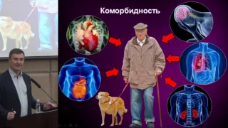 Каратеев А.Е., «Анальгетическое лечение при остеоартрите с учетом фенотипов боли»