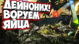 ВЫЖИВАНИЕ НА DLC КАРТЕ ВАЛГУЕРО (VALGUERO)/ВЫРАЩИВАЕМ ДЕЙНОНИХА (Deinonychus)➤ Ark: Survival Evolved