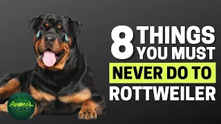 8 Things You Must Never Do To Your Rottweiler
