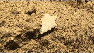 OLD Arrowhead! ~ 527. Indian Artifact Finds! MAY 2024