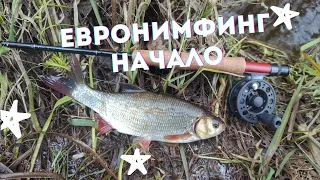 НАХЛЫСТ x ПЕРВЫЕ ШАГИ В ЕВРОНИМФИНГЕ #84