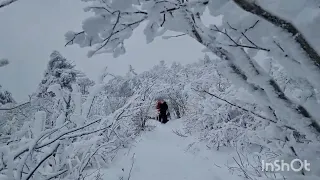 설경 발왕산 케이블카 상고대