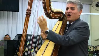 Oliveira Verdadeira Harpista Narcizo