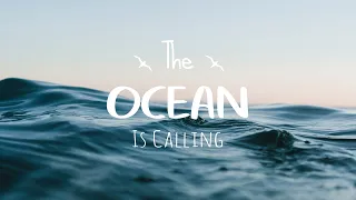 The Ocean Is Calling 🌊 - A Coastal Indie/Pop/Folk Playlist I Summer 2022