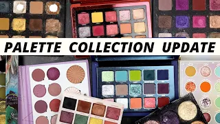 EYESHADOW PALETTE DECLUTTER, RECKONING, AND FULL PALETTE COLLECTION TOUR ALL IN ONE SINGLE VIDEO