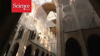 A look inside the restoration of Notre Dame cathedral