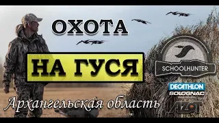 Охота на гуся, Архангельская область.