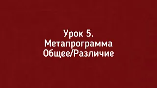 Урок №5. Метапрограмма Общее/Различие