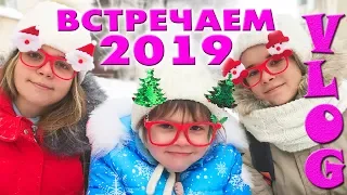 ВСТРЕЧАЕМ НОВЫЙ 2019 ГОД  VLOG