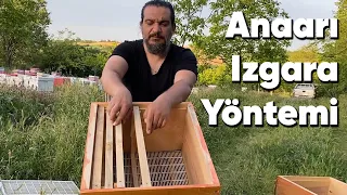 Anaarı Izgarası Atma Yöntemimiz