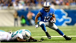 Golden Tate Highlights HD 2014 - 2015