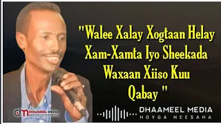 Shey Mire Dacar Heestii| Walee Xalay Xogtaan Helay | Hees Kaban Xul ah Oo Macaan + Lyrics