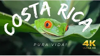 One Week Costa Rica  March 2023- LaFORTUNA, JACO, MANUEL ANTONIO, ESTERILLOS OESTE in 4K Travel VLOG