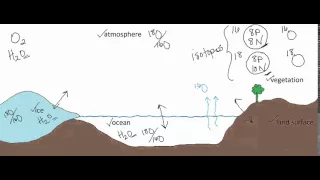 Oxygen Isotopes and the Paleoclimate Record