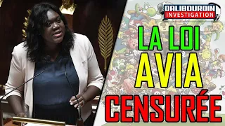 LA LOI AVIA CENSURÉE PAR LE CONSEIL CONSTITUTIONNEL & YOUTUBE CONTINUE DE CENSURER