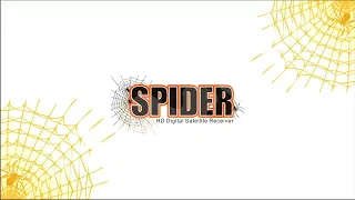 Spider Forever 10 Pro+ طريقة عمل سوفتوير جديد عن طريق USB