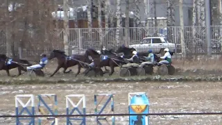 9 заезд, Приз Закрытия бегового сезона, 19 10 2019, Новосибирский ипподром